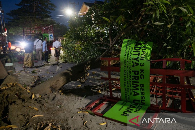 Truk pengangkut elpiji subsidi tertimpa pohon