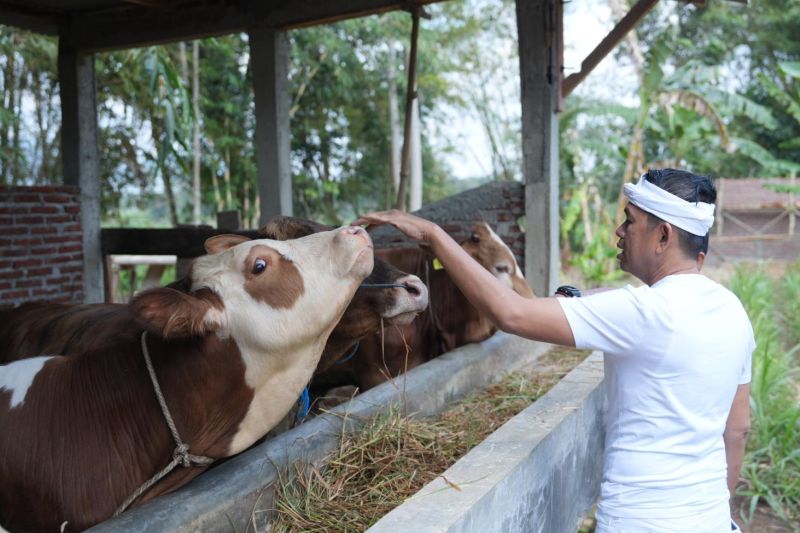 Kenaikan dana desa harus dibarengi pengembangan desa, kata anggota DPR RI