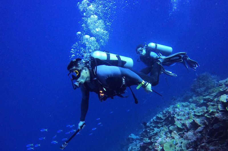 Menikmati keindahan bawah laut Pulau Tomia Wakatobi