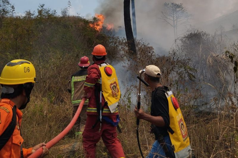 Kebakaran hutan Gunung Guntur Garut berhasil dipadamkan