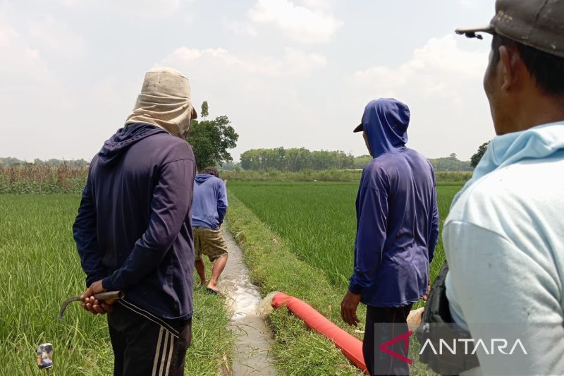 Distan OKU Timur Atasi Kekeringan Di Lahan Pertanian Tiga Desa - ANTARA ...