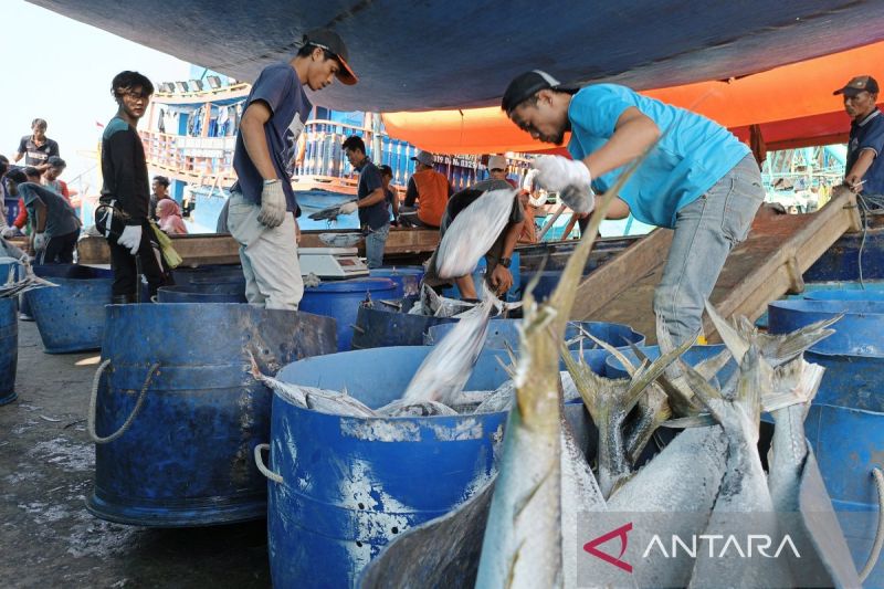 Menjaga Keberlanjutan Sektor Perikanan Di Indonesia - ANTARA News