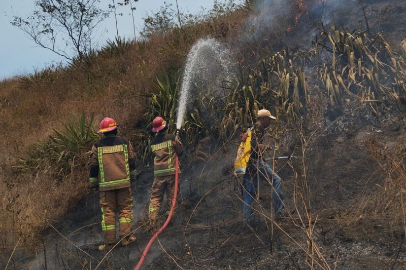 Polisi sebut kebakaran hutan Gunung Guntur akbat ulah kelompok remaja pendaki