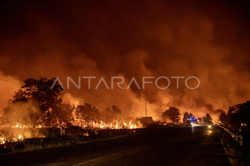 Kebakaran lahan di jalan lintas Palembang-Indralaya