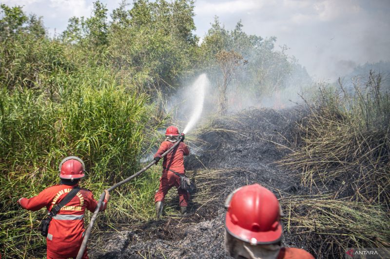 Jabar dan sejumlah wilayah berpotensi alami karhutla hingga hujan lebat