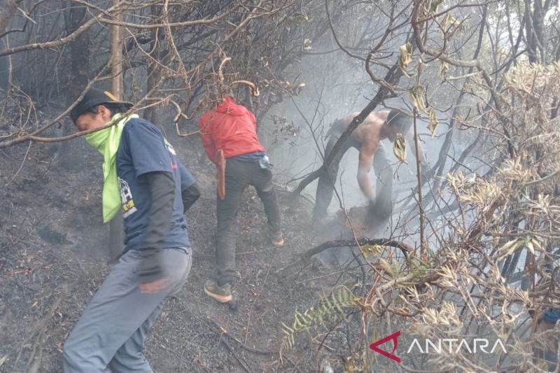 Tim gabungan diturunkan ke Gunung Gede antisipasi kebakaran lahan meluas