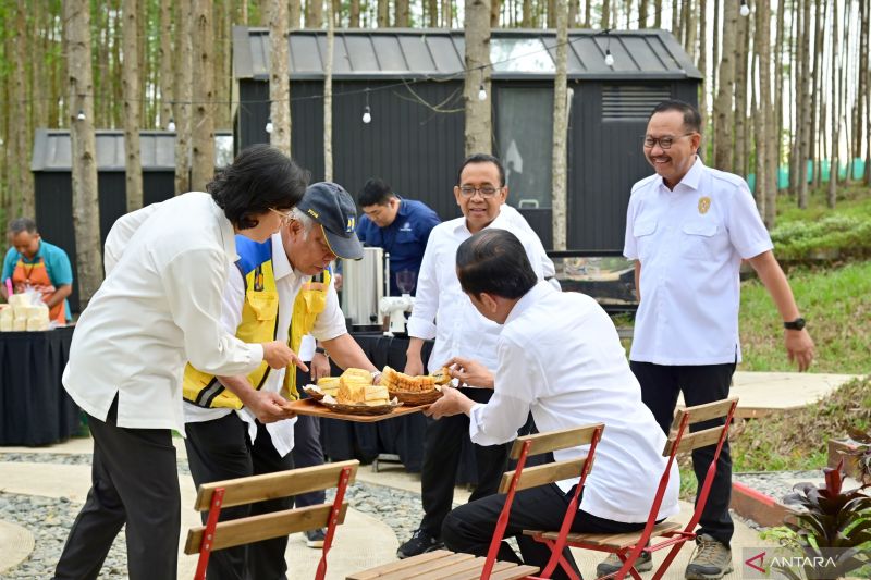 Presiden Jokowi lanjutkan kunjungan kerja hari kedua di IKN