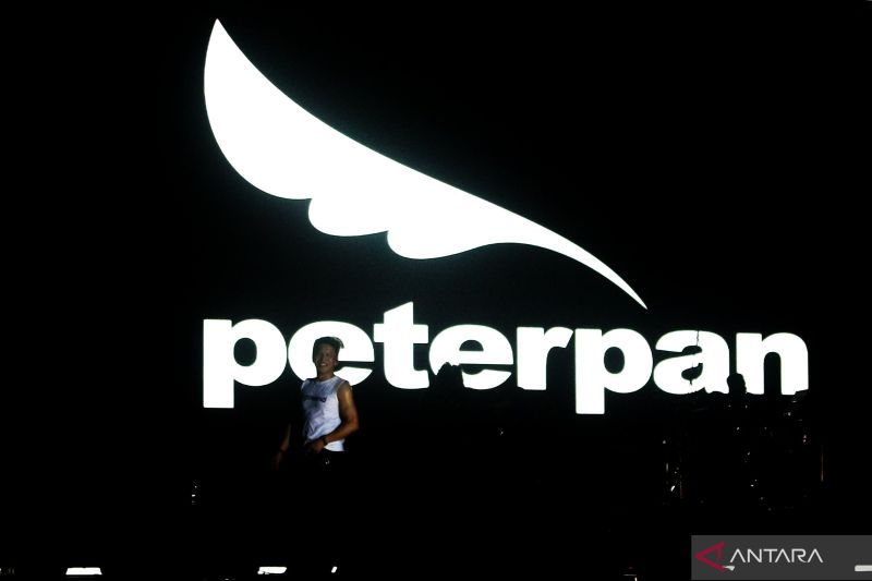 Ariel: "Tidak ada Noah malam ini, hanya ada Peterpan" - ANTARA News