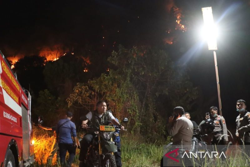 Sejumlah titik kebakaran hutan di Gunung Jayanti sudah berhasil dipadamkan