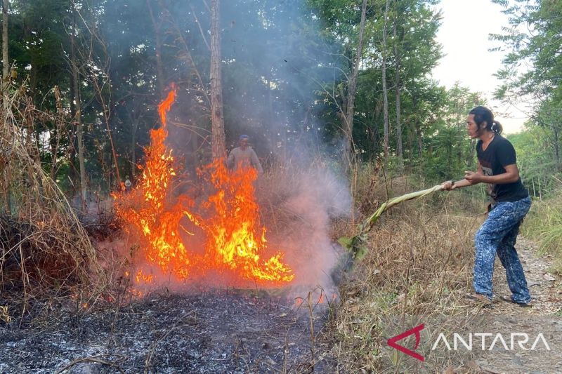 BPBD Cianjur tuntaskan penanganan kebakaran lahan di Cibeber