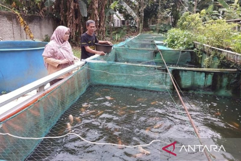Pemkab Bogor selamatkan sektor peternakan dan perikanan dari kekeringan