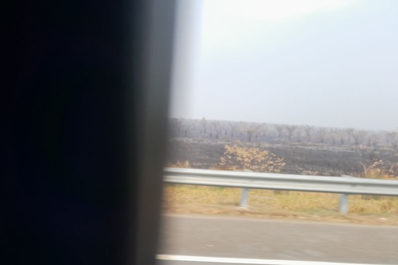 Petugas padamkan kebakaran lahan di sekitar Tol Sumatera
