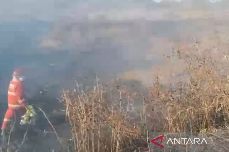 Damkar Cianjur berhasil tuntaskan penanganan 37 titik kebakaran lahan