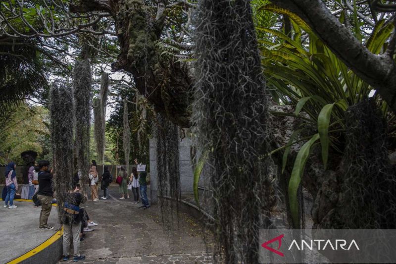 Lokakarya ilmu botani endemik Indonesia