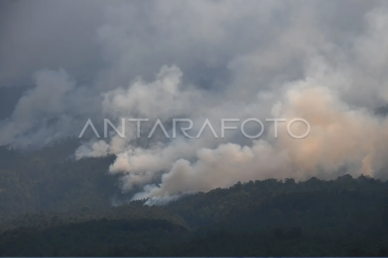Kebakaran Gunung Lawu Capai 1.100 hektare