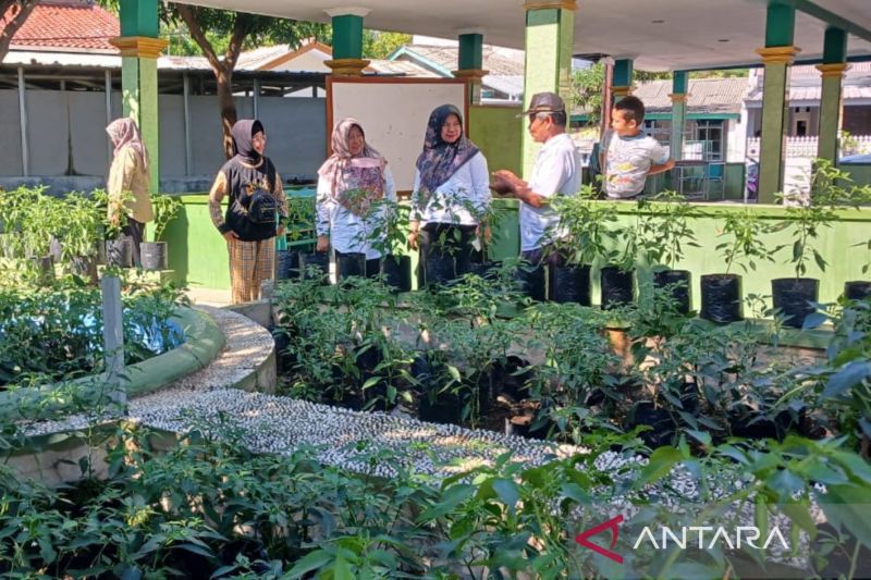 Diversifikasi pangan di Kota Cirebon sasar ibu rumah tangga