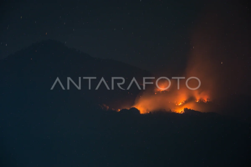 Kebakaran hutan Gunung Lawu Karanganyar