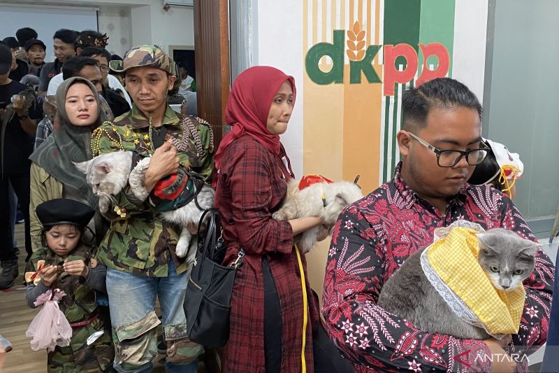 Pemkot Bandung gelar pelayanan vaksinasi rabies gratis