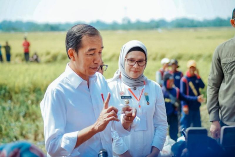 Hasil panen padi di Indramayu capai 1,2 juta ton