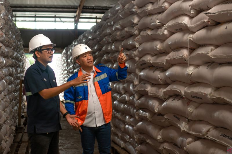 Pupuk Kaltim Sebut Pabrik Baru Di Fakfak Cara Jaga Ketahanan Pangan ...