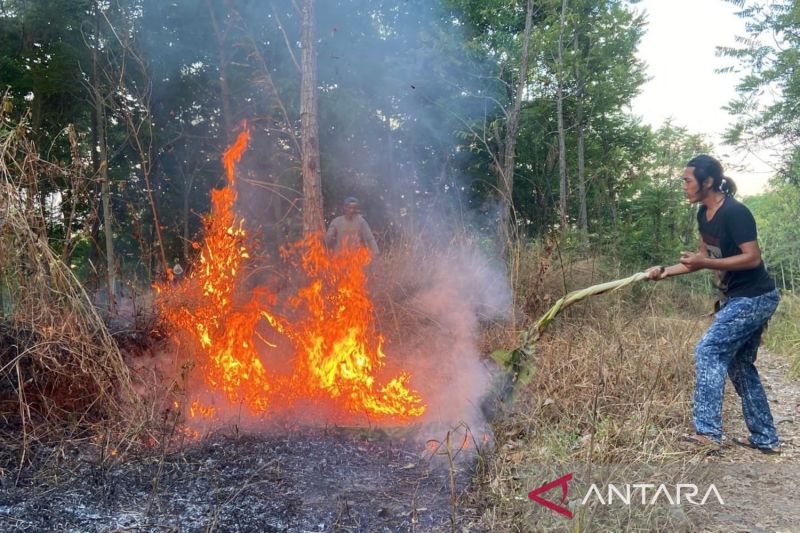 Damkar Cianjur catat pada Oktober terjadi 40 kasus kebakaran