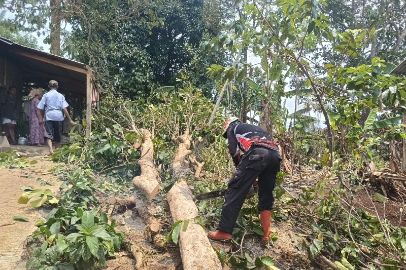 BNPB catat 312 orang terdampak angin puting beliung di Sukabumi