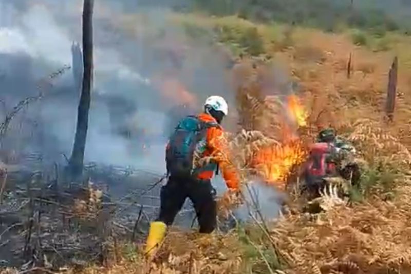 BKSDA tambah kekuatan personel padamkan kebakaran hutan di Gunung Papandayan