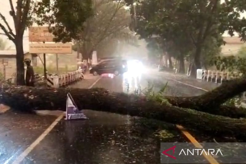 Jalan penghubung Cianjur dan Bandung sudah dapat dilalui kendaraan