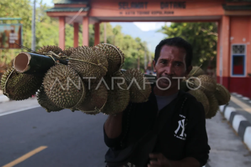 Musim durian di Tidore Kepulauan