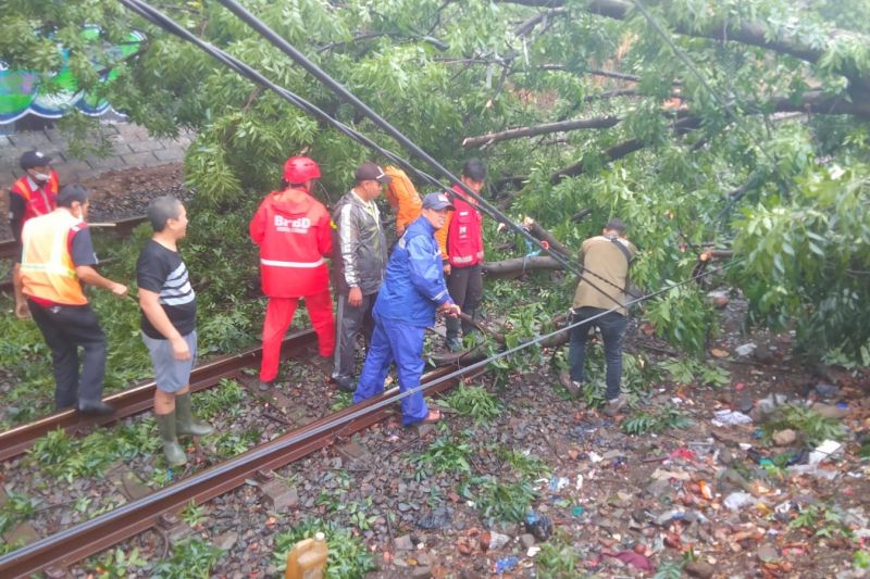 Pembersihan pohon tumbang dimulai usai angin puting beliung di Cimahi