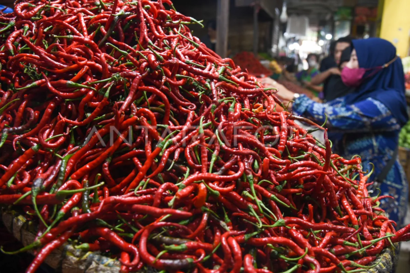 Kenaikan harga cabai di Medan