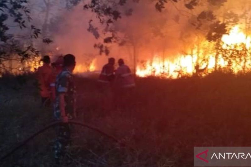 BNPB: Truk tangki air bantu pemadaman kebakaran lahan di Bangka Tengah