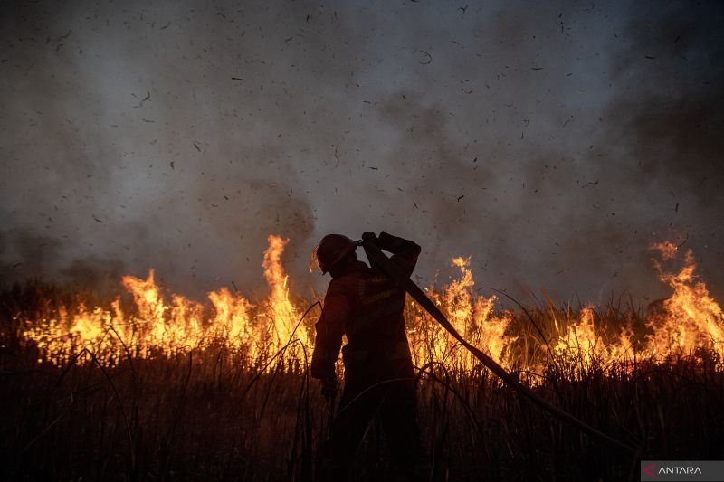 Foto Cerita : Menjaga kesehatan petarung api