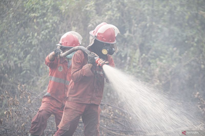 Manggala Agni masih berupaya memadamkan karhutla di Desa Jungkal