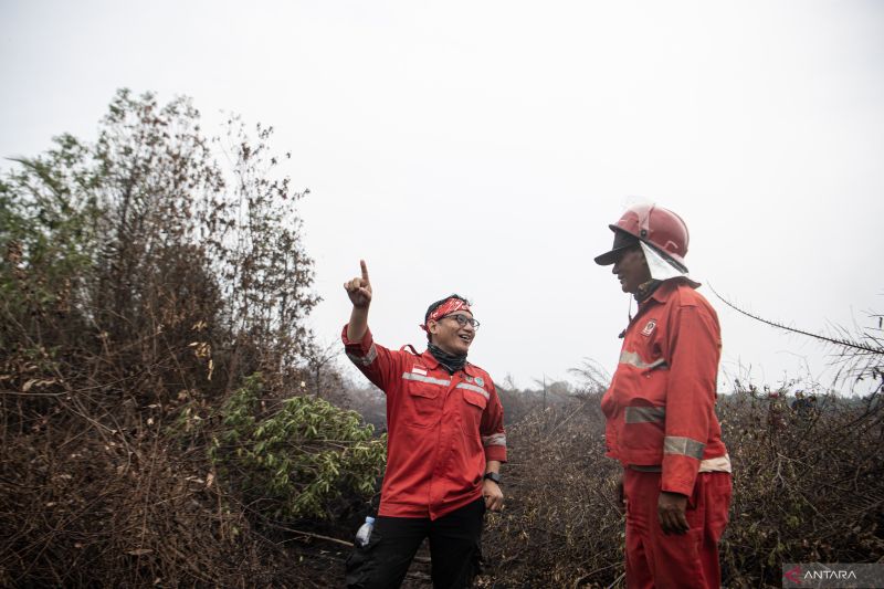 Manggala Agni masih berupaya memadamkan karhutla di Desa Jungkal