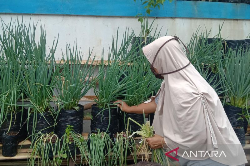 Kendalikan inflasi, Diskatan Kuningan giatkan P2L di 370 desa