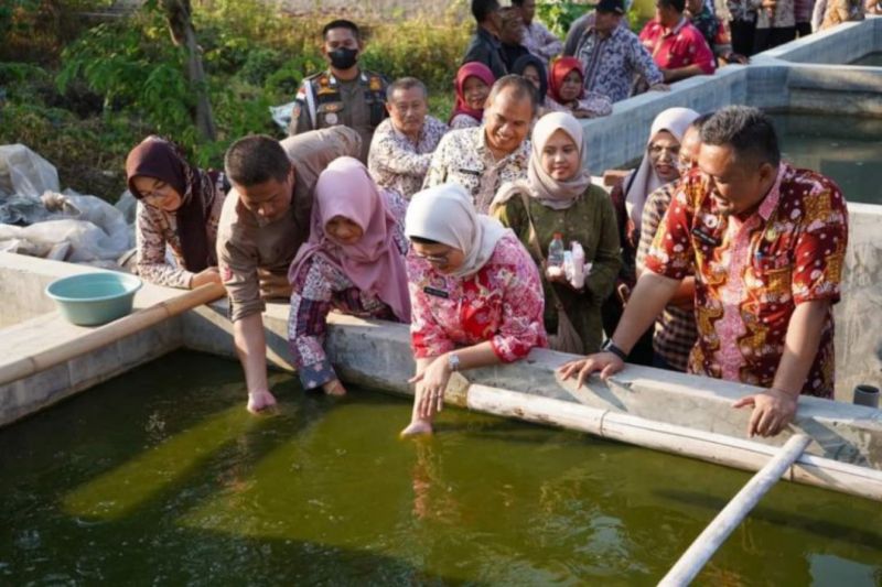 Indramayu salurkan Rp2,1 miliar untuk budi daya perikanan