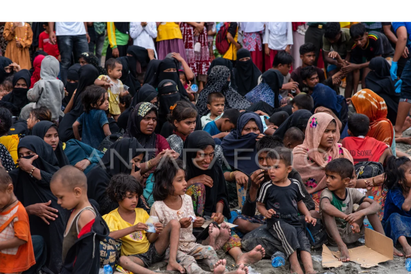 Imigran Rohingya terdampar di Pidie