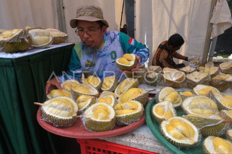 Sepuluh varietas durian unggul nasional dari Kalbar