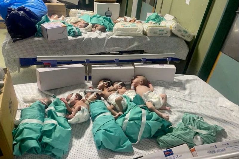 1.100 bayi Palestina tewas akibat serangan Israel di Gaza