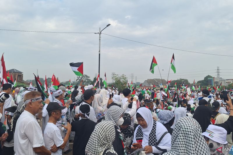 Wali Kota Depok: Tidak ada alasan Indonesia tidak bela Palestina