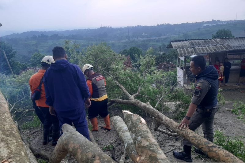 Hujan disertai angin sebabkan tanah longsor dan pohon tumbang di Sukabumi