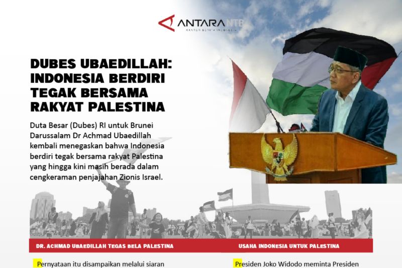 Dubes Ubaedillah: Indonesia Berdiri Tegak Bersama Rakyat Palestina
