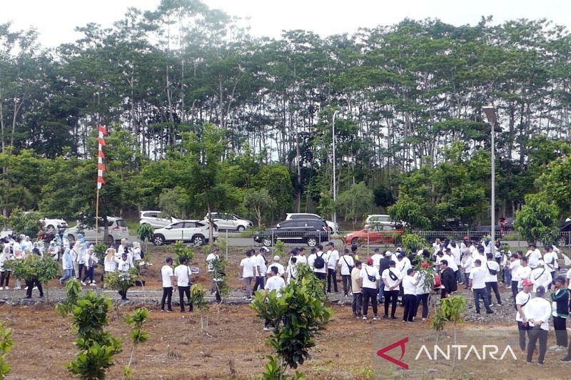 BWS Kalimantan III hijaukan area embung Kampung Banjar