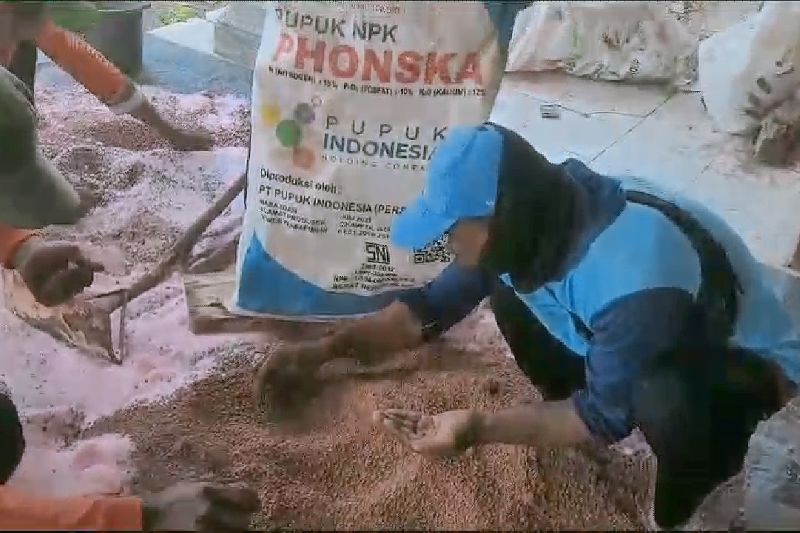 Pupuk Kujang telah temui petani yang keluhkan pupuk mengandung butiran mirip plastik