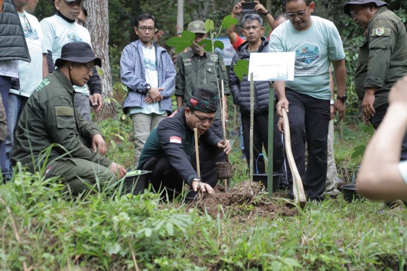 Pemkab Bandung tanam 30.000 pohon untuk lindungi lingkungan