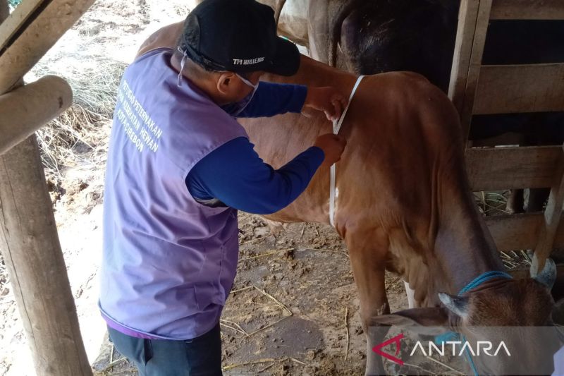 RPH di Kota Cirebon memenuhi standar higienis terbaik