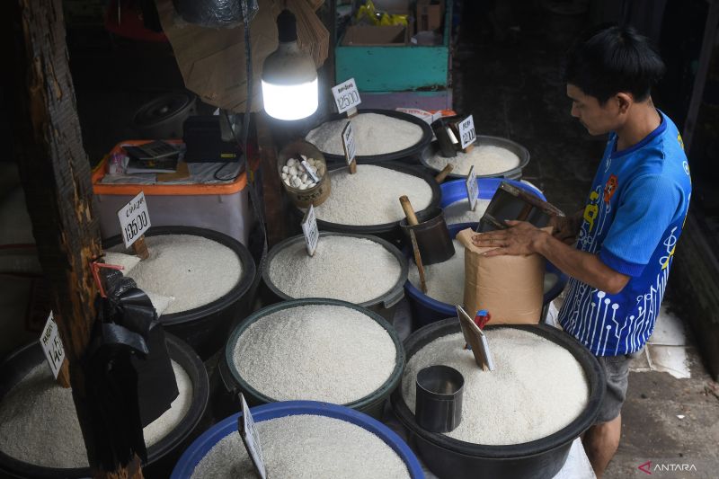 Harga beras naik 0,48 persen seiring kenaikan harga gabah