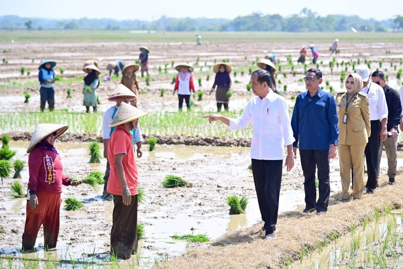 Presiden Jokowi berjanji tambah subsidi pupuk untuk petani