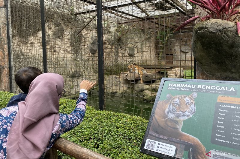 Bandung Zoo tambah koleksi satwa sambut libur Nataru